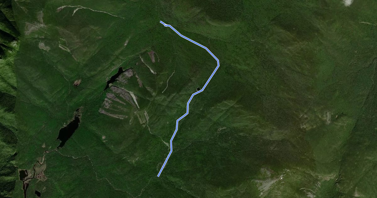 Маршрут Lake Arnold Trail на спутниковом снимке