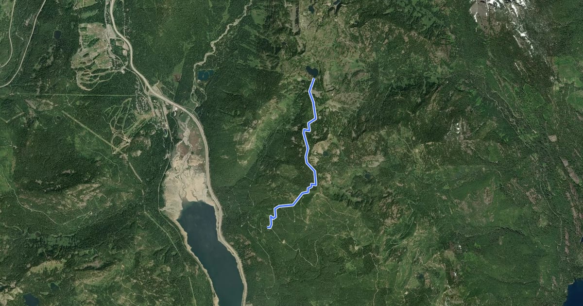 Маршрут Lake Lillian Trail на спутниковом снимке