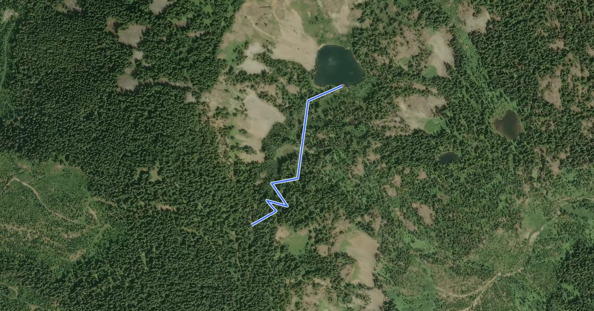 Маршрут Lake Margaret Trail на спутниковом снимке