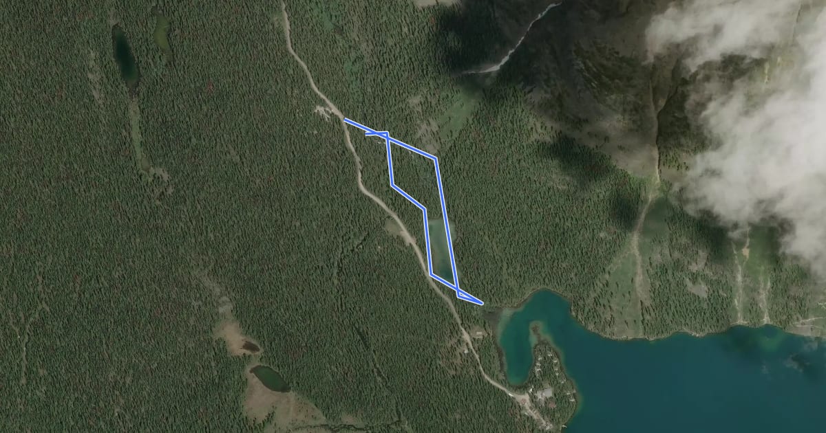 Маршрут Lake O'Hara Side Trails на спутниковом снимке