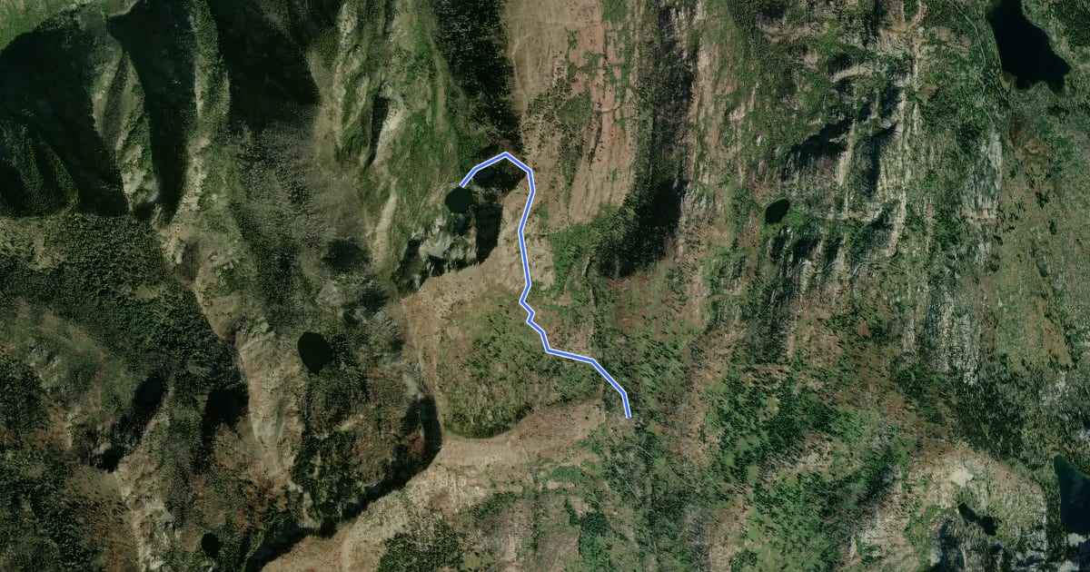 Маршрут Lake Serene Trail на спутниковом снимке