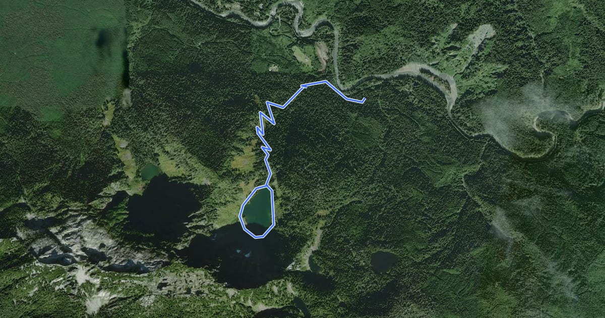Маршрут Lake Twenty Two Trail на спутниковом снимке