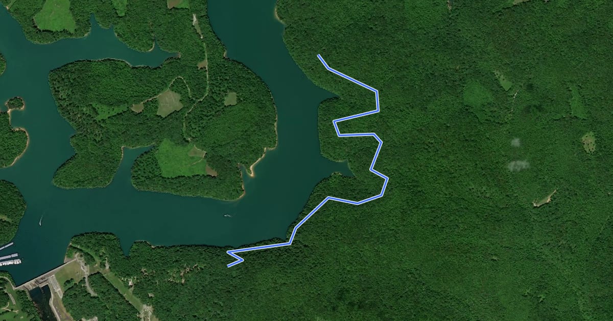 Маршрут Lake View Trail на спутниковом снимке