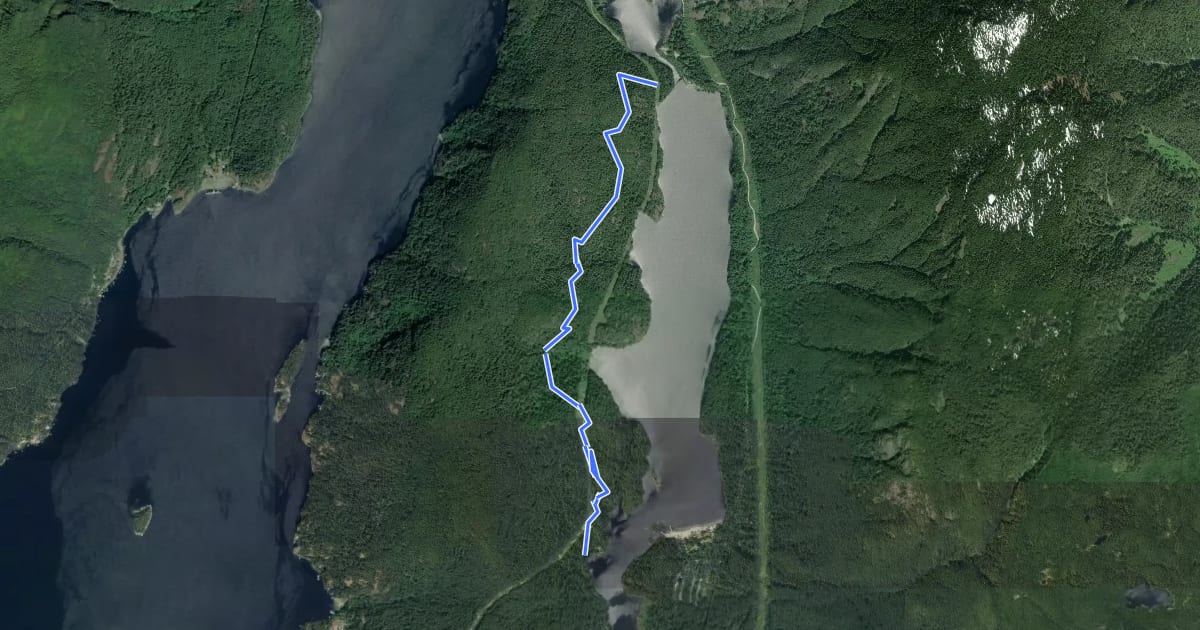 Маршрут Lakeview Trail на спутниковом снимке