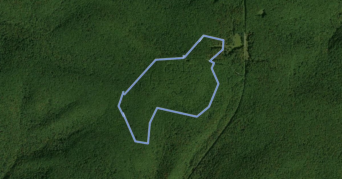 Маршрут Land of Many Uses Interpretive Loop на спутниковом снимке