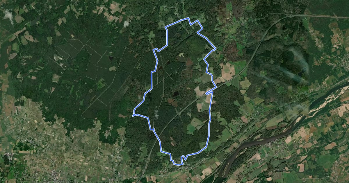 Маршрут Landes et Forêts - Coteaux-sur-Loire на спутниковом снимке