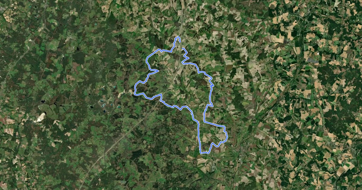 Маршрут Landes et Genêts на спутниковом снимке