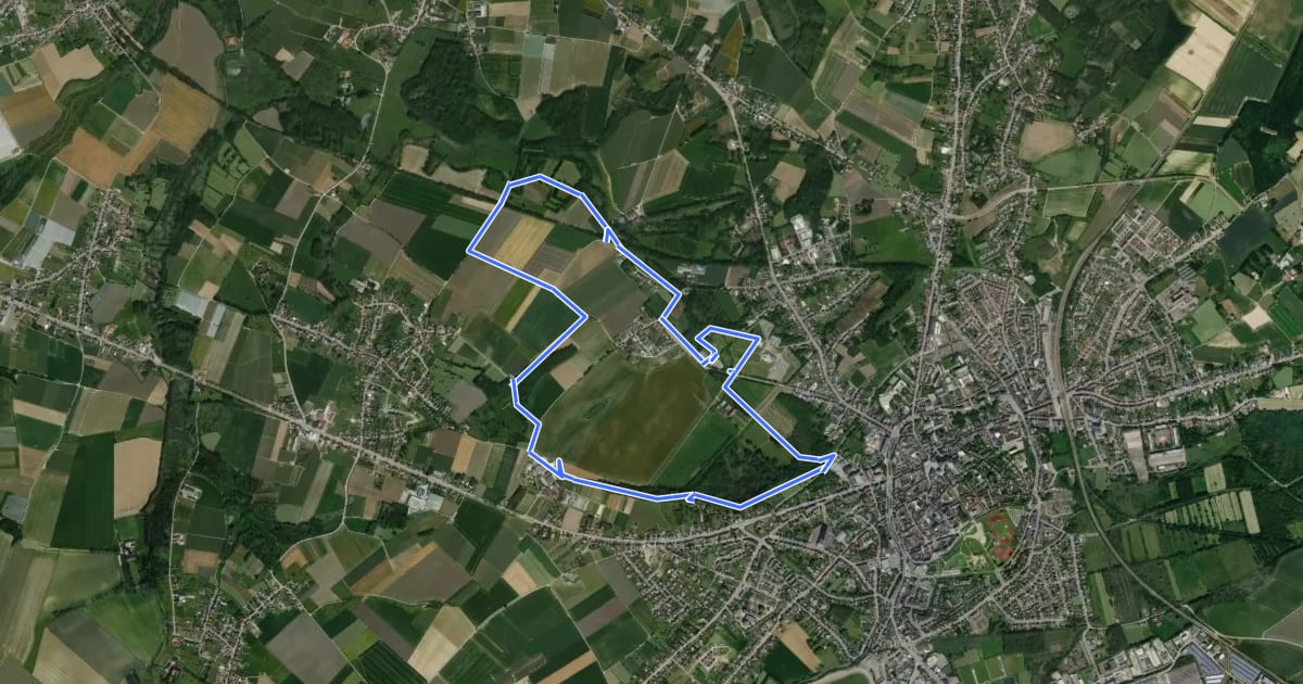 Маршрут Landschapswandeling Beukenberg blauwe ruit на спутниковом снимке