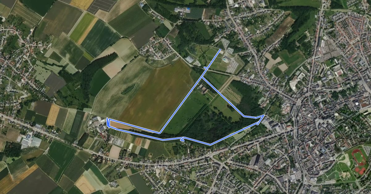 Маршрут Landschapswandeling Beukenberg groene rechthoek на спутниковом снимке