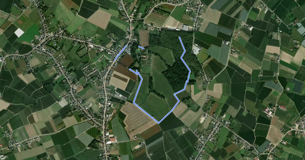 Маршрут Landschapswandeling Wijerbos Blauwe ruit на спутниковом снимке