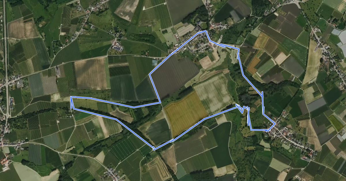 Маршрут Landschapswandeling Zammelen/Gors-Opleeuw Oranje bol на спутниковом снимке