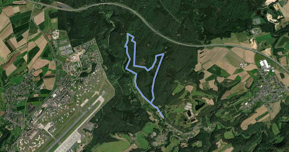 Маршрут Landscheid 9 на спутниковом снимке