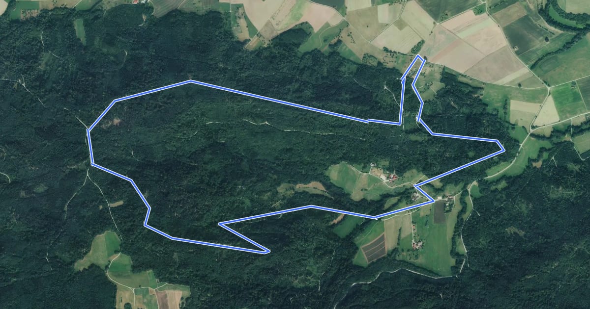 Маршрут Landturmweg на спутниковом снимке