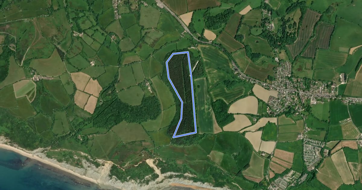 Маршрут Langdon Hill walk, Golden Cap на спутниковом снимке