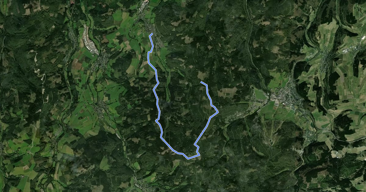 Маршрут Langenberg Rundweg на спутниковом снимке
