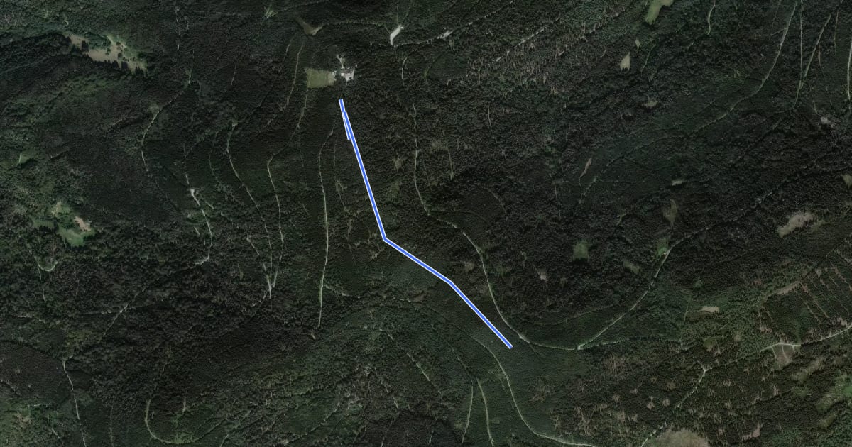 Маршрут Langmartskopf - Felsenweg на спутниковом снимке