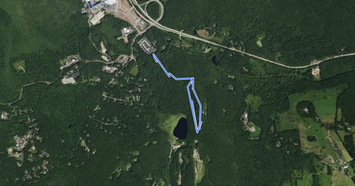 Маршрут Lantern Hill Trail на спутниковом снимке