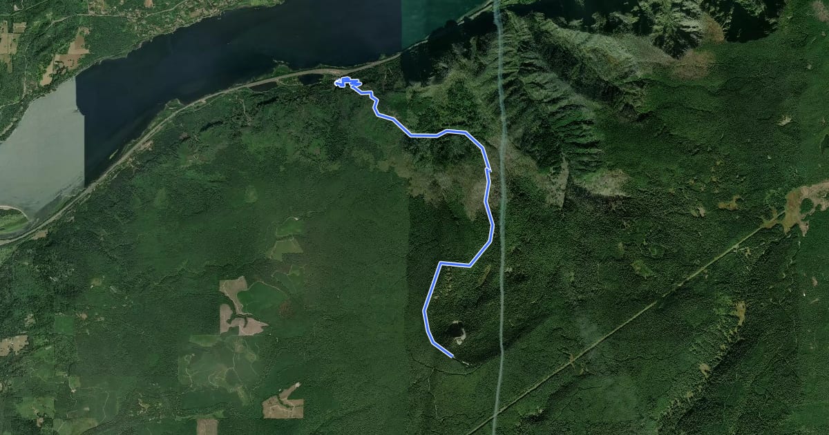 Маршрут Larch Mountain Trail на спутниковом снимке