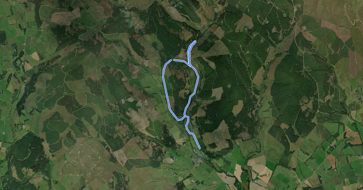 Маршрут Larch View Route на спутниковом снимке