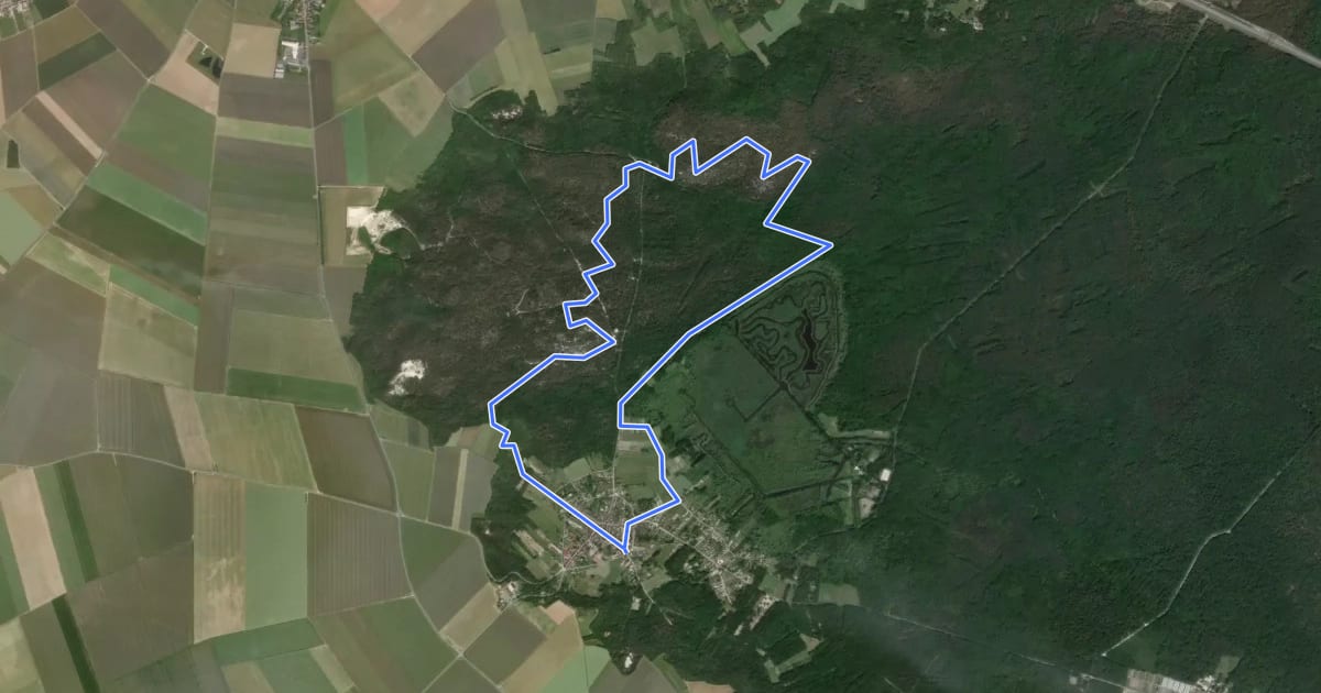 Маршрут Larchant на спутниковом снимке