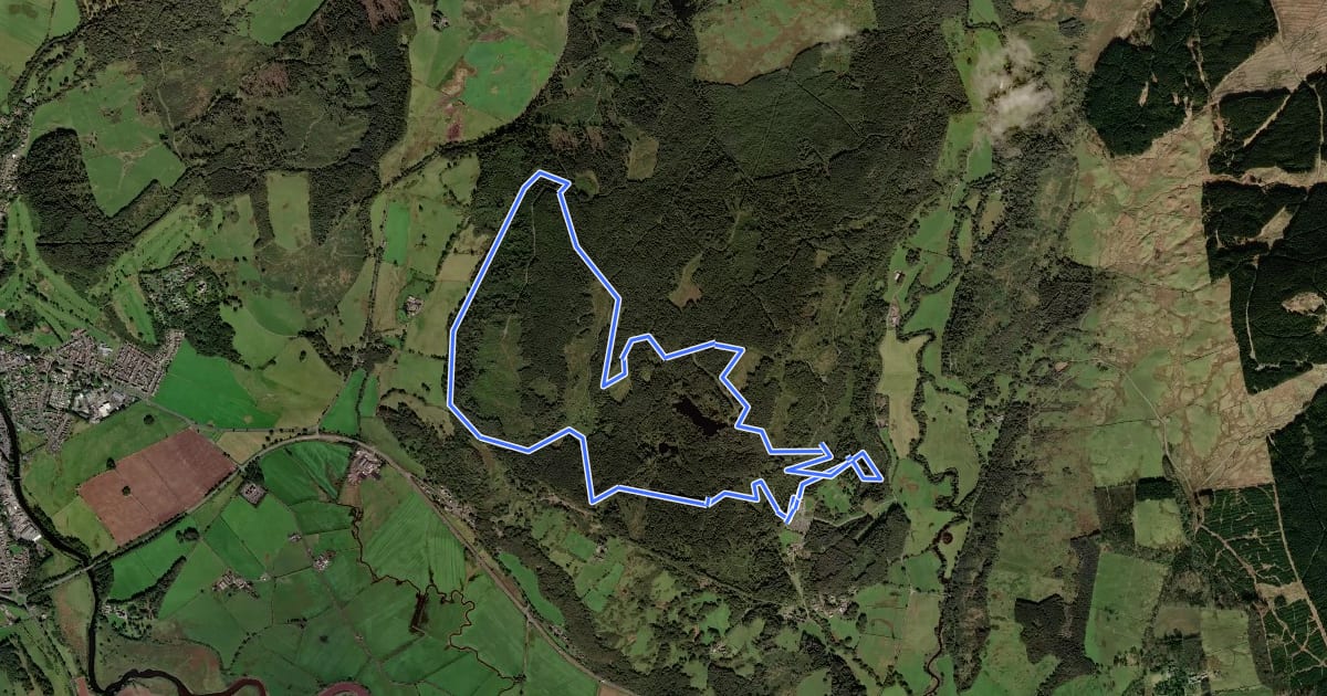 Маршрут Larg Hill Blue Trail на спутниковом снимке