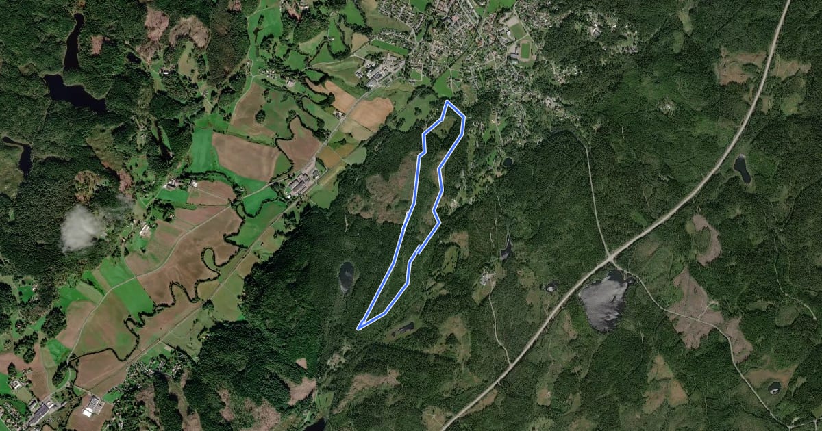 Маршрут Larsagården 4,2 km на спутниковом снимке