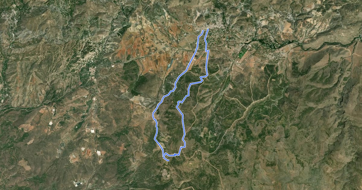Маршрут Las Minas y Caparidán на спутниковом снимке