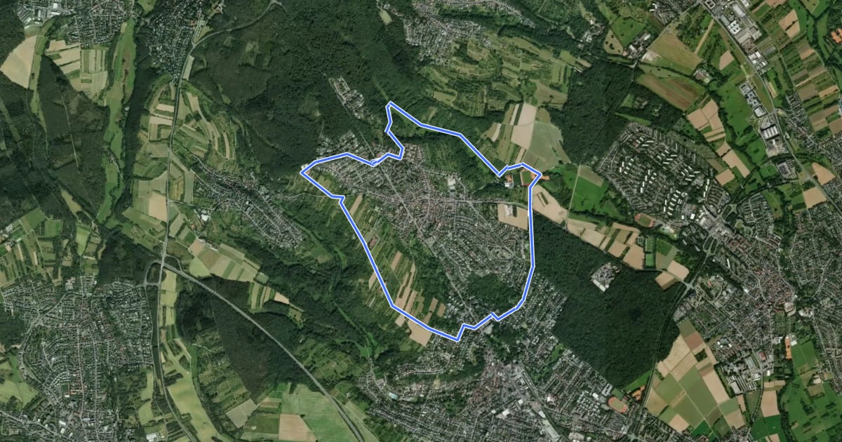 Маршрут Laufpark Taunus NW Bad Soden blau - "Rund um Neuenhain" на спутниковом снимке