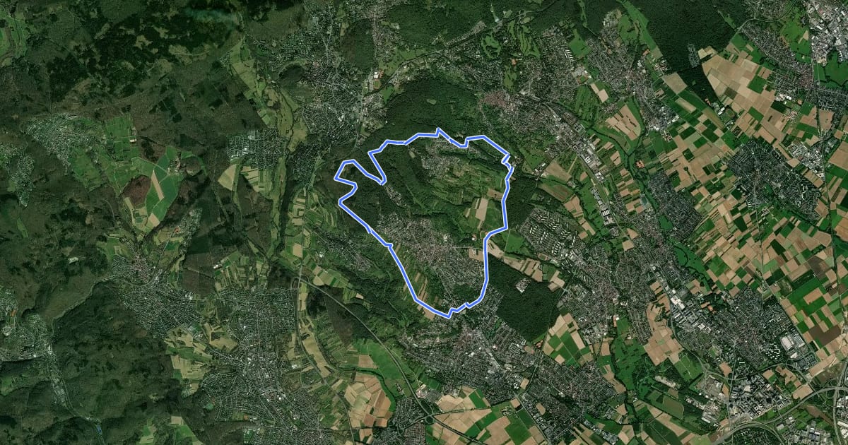 Маршрут Laufpark Taunus NW Bad Soden schwarz / Kronthal , Altenhain на спутниковом снимке