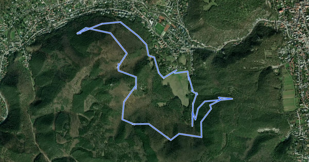Маршрут Laufstrecke 2: Meiereiwiese - Matterhörndl - Hinterbrühl - Vorderbrühl Rundkurs на спутниковом снимке