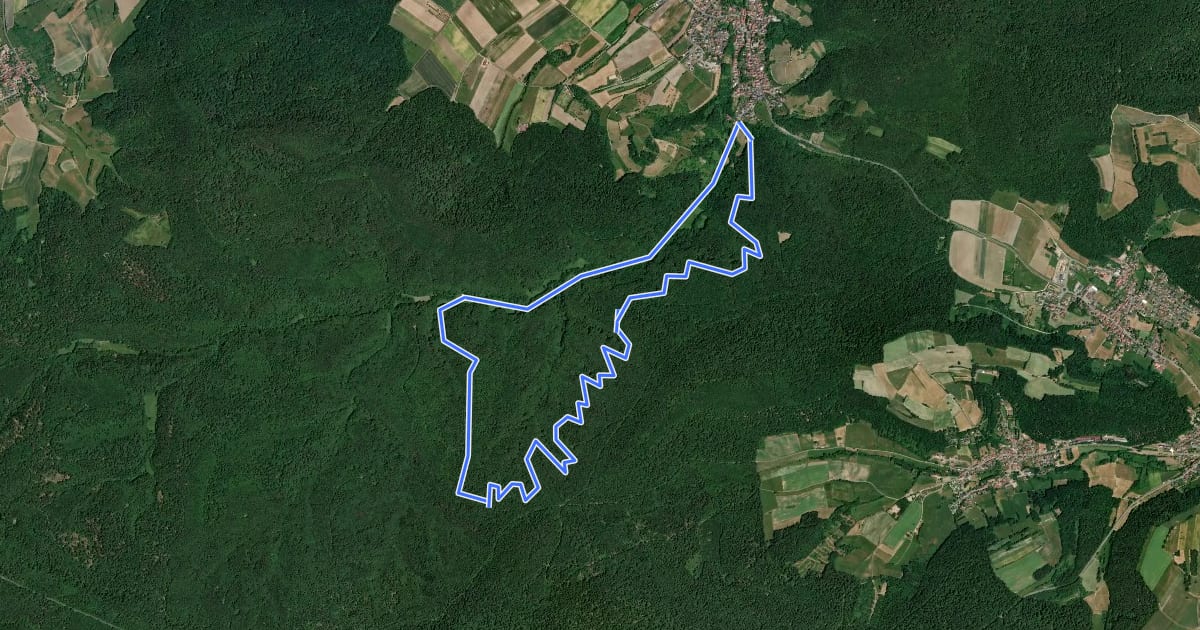Маршрут Lauftour KNE3 на спутниковом снимке