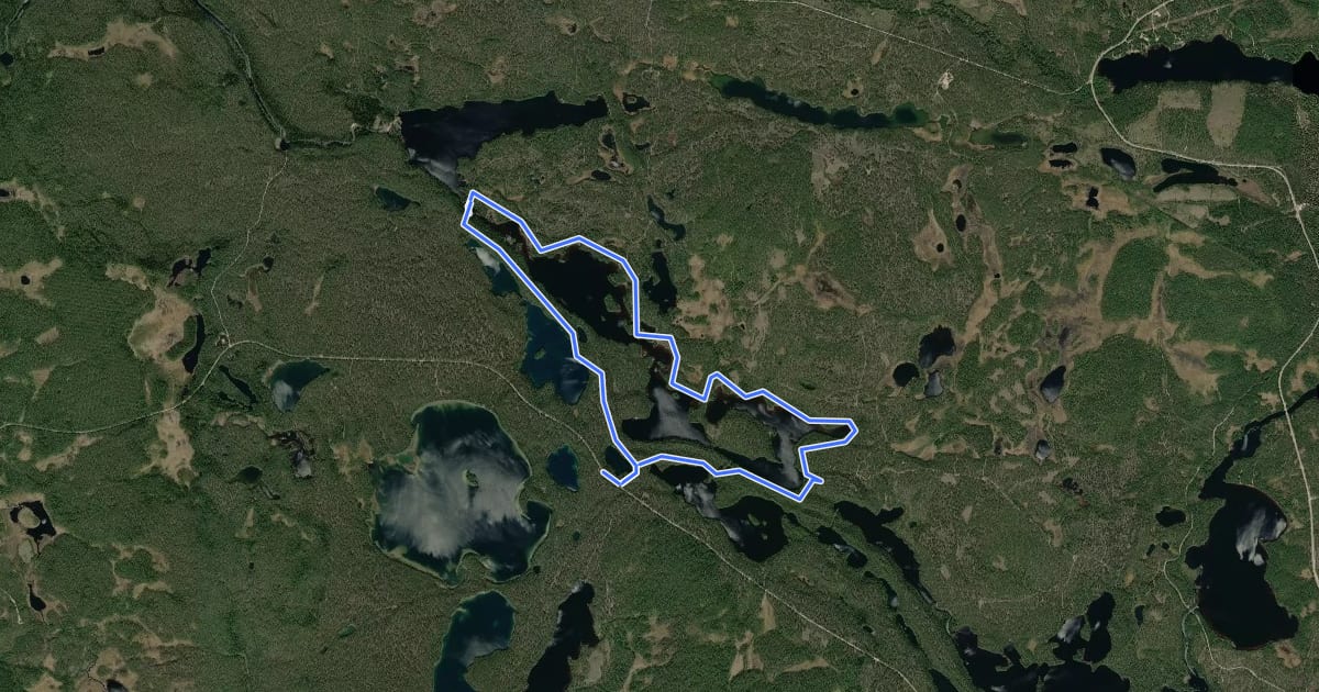 Маршрут Laukkujärven Lenkki на спутниковом снимке