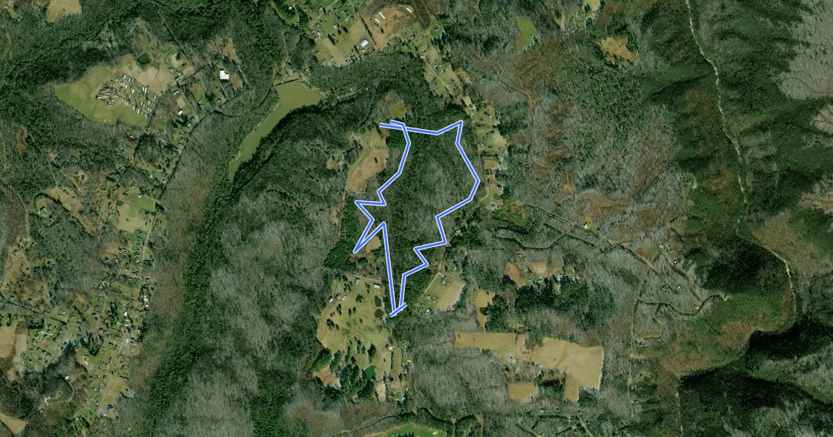 Маршрут Laurel Creek Trail на спутниковом снимке