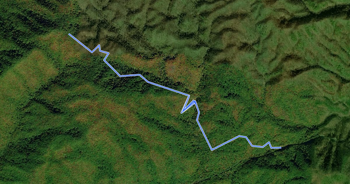 Маршрут Laurel Falls Trail на спутниковом снимке