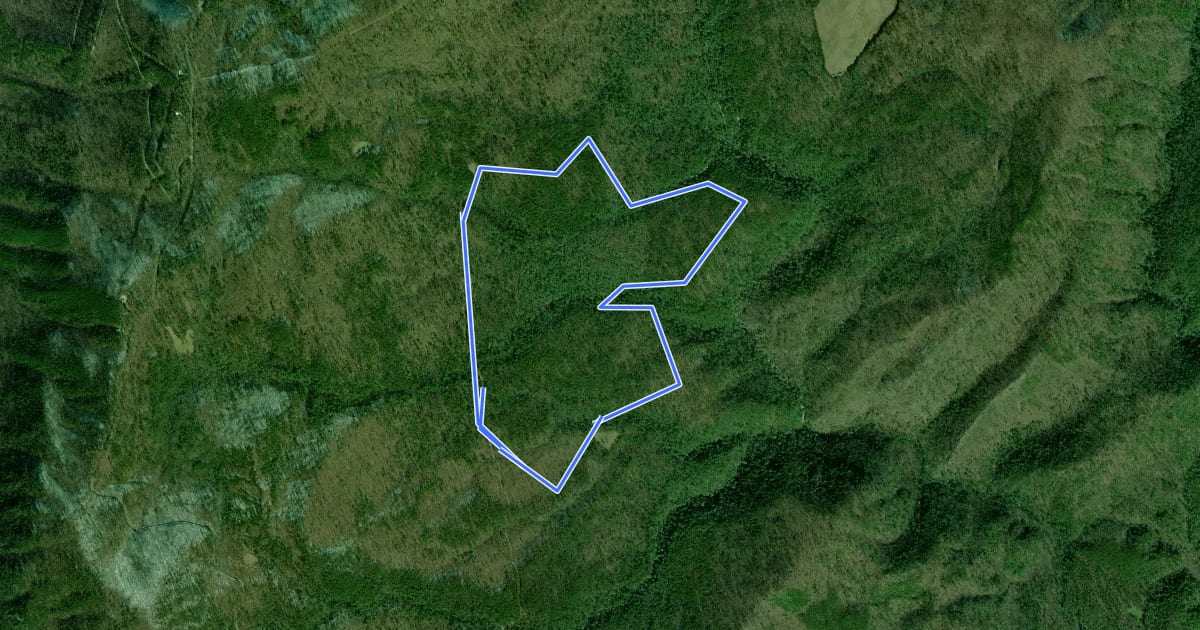 Маршрут Laurel Loop Trail на спутниковом снимке