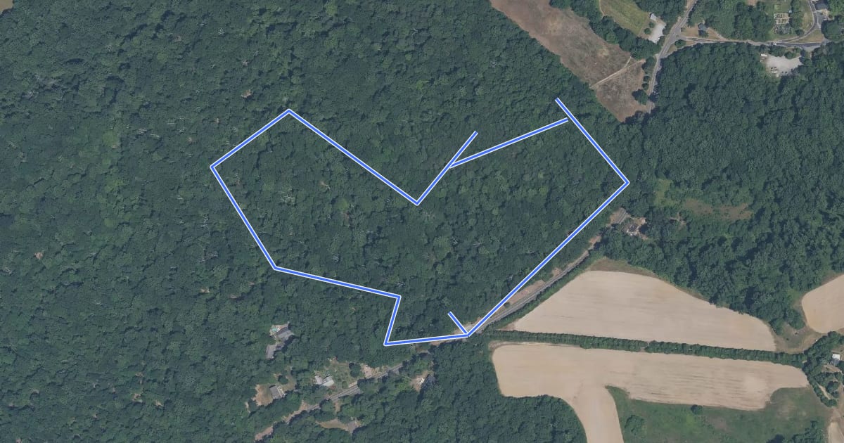 Маршрут Laurel Loop Trail на спутниковом снимке