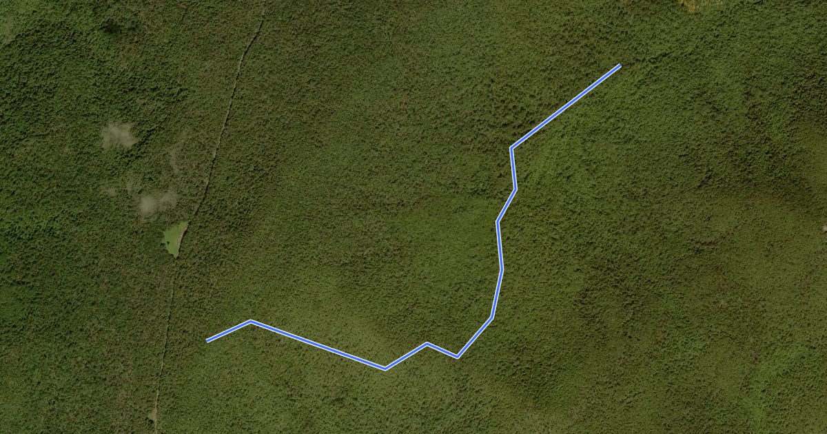 Маршрут Laurel Prong Trail на спутниковом снимке