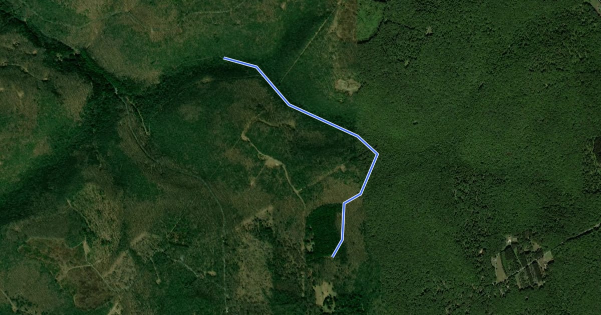 Маршрут Laurel Trail на спутниковом снимке