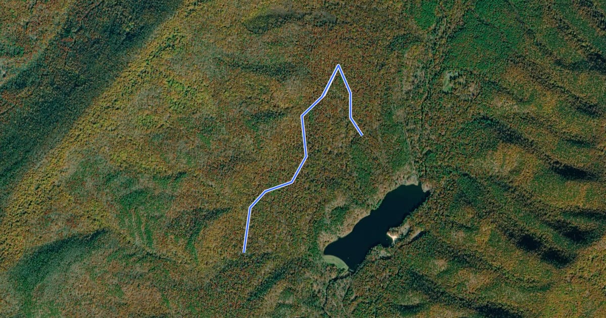 Маршрут Laurel View Trail на спутниковом снимке