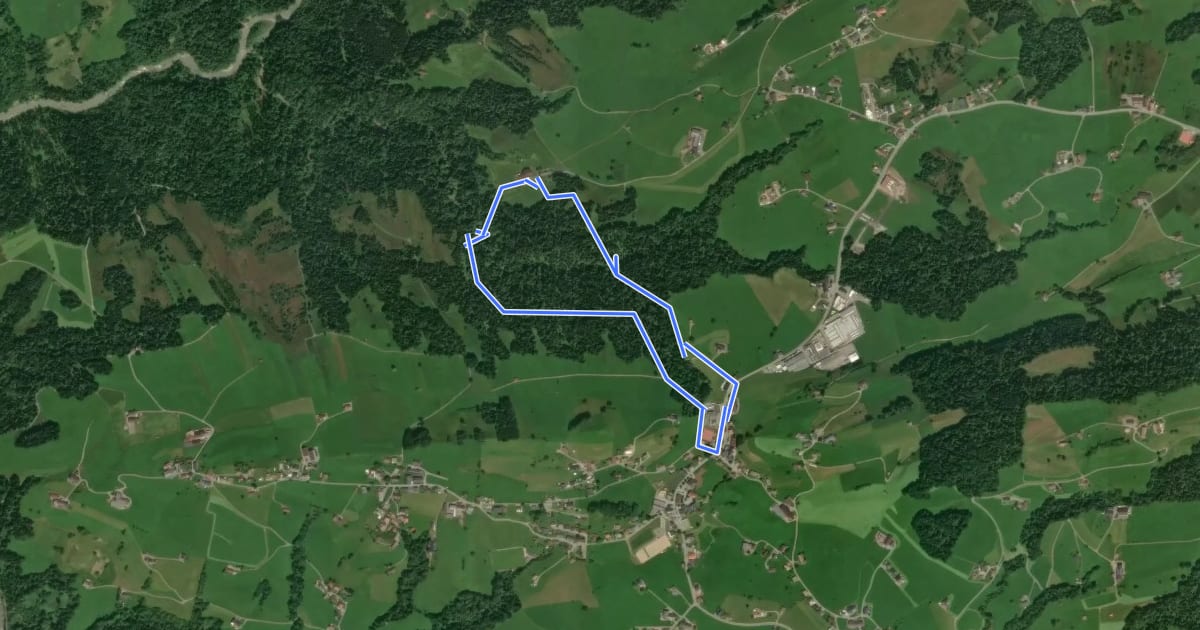 Маршрут Lausbubenweg на спутниковом снимке