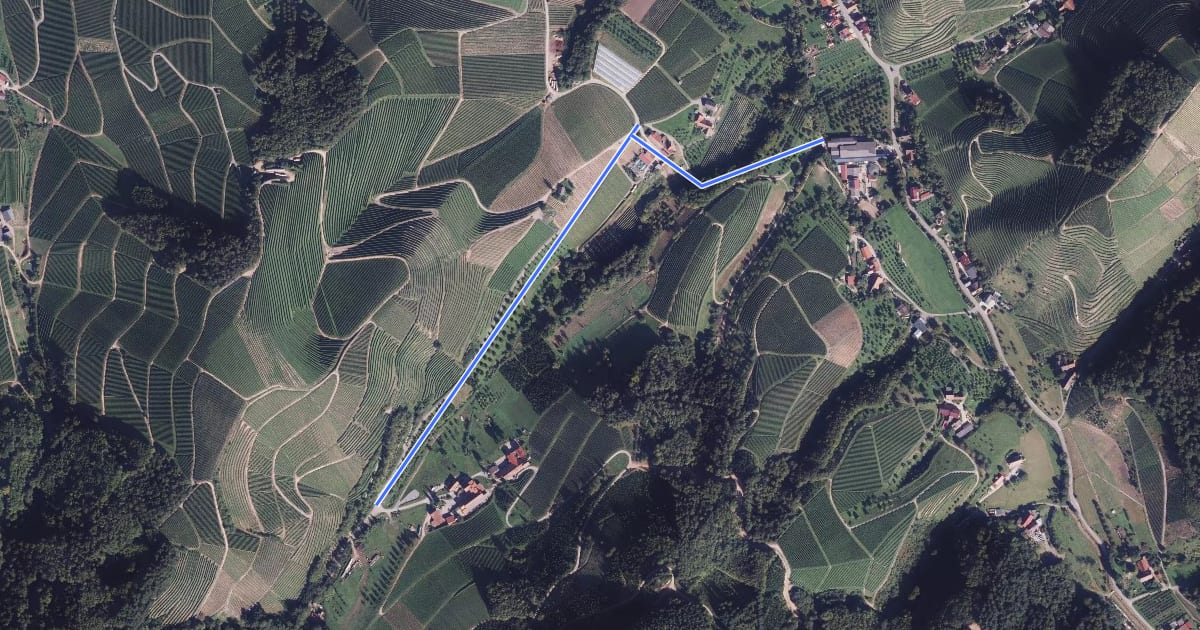 Маршрут Lautenbach - Durbach-Obertal Sägewerk на спутниковом снимке