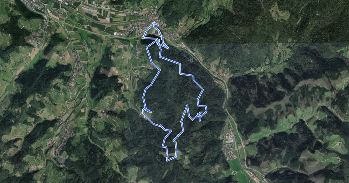 Маршрут Lautenbacher Teufelsteig на спутниковом снимке