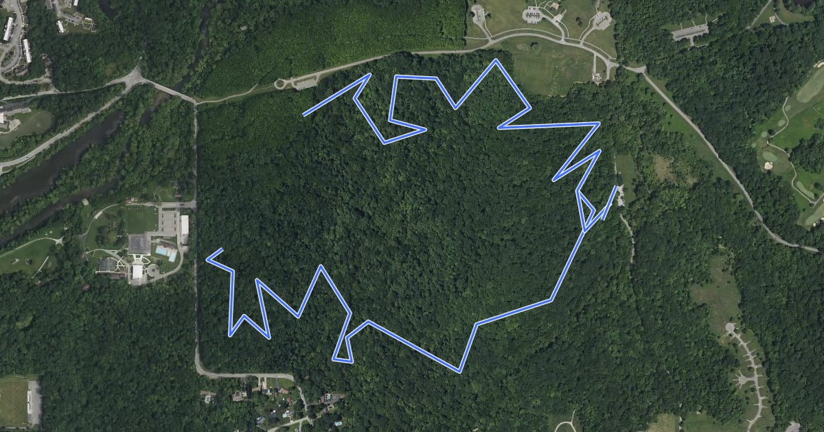 Маршрут Lawrence Creek Trail на спутниковом снимке