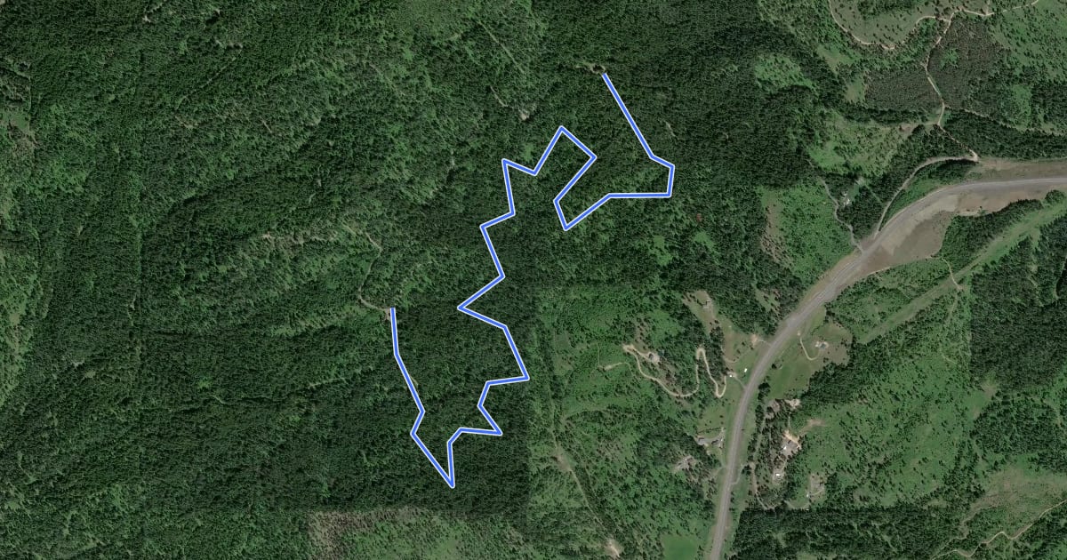 Маршрут Lazy Trail на спутниковом снимке