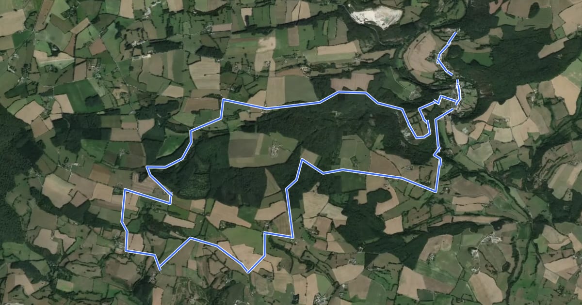 Маршрут Le bois de Chemasson - Circuit n°3 - Base VTT FFC du Gasseau на спутниковом снимке