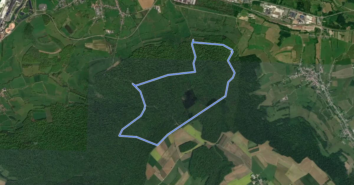 Маршрут Le Bois de la Côte на спутниковом снимке