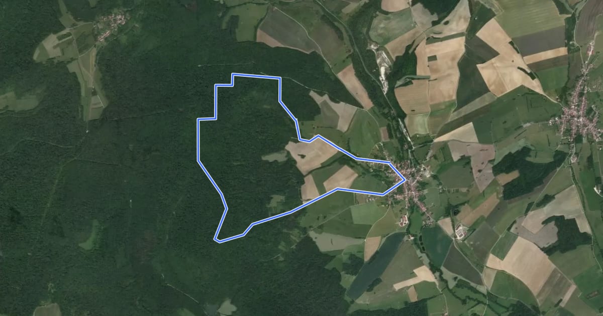 Маршрут Le Bois des Côtes на спутниковом снимке