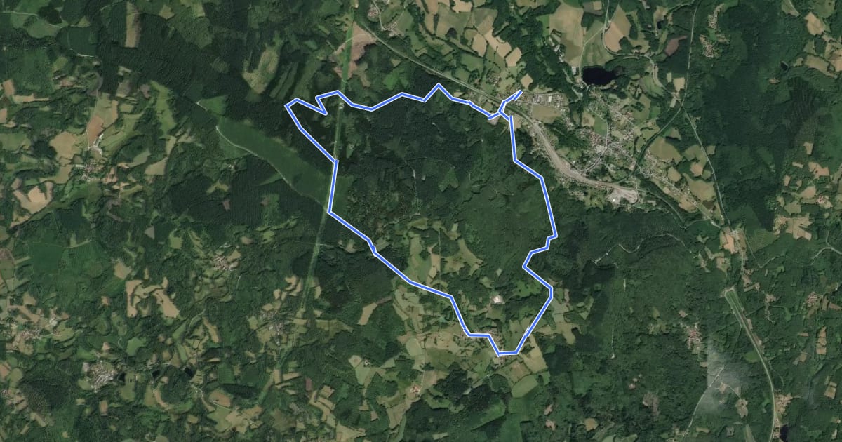 Маршрут Le Bois des Echelles на спутниковом снимке