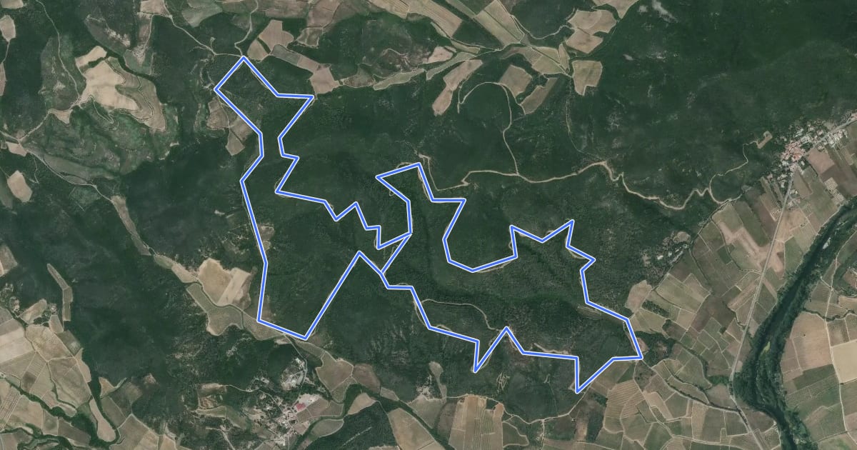 Маршрут Le Bois Des Eucalyptus на спутниковом снимке
