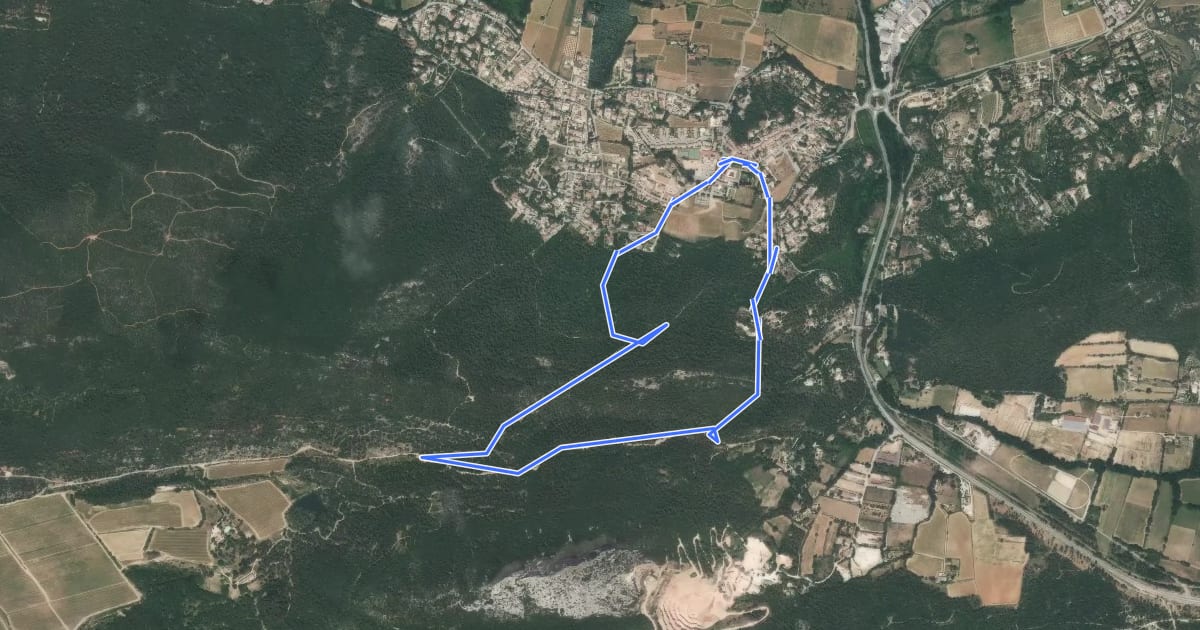 Маршрут Le Chemin d'Engardin на спутниковом снимке